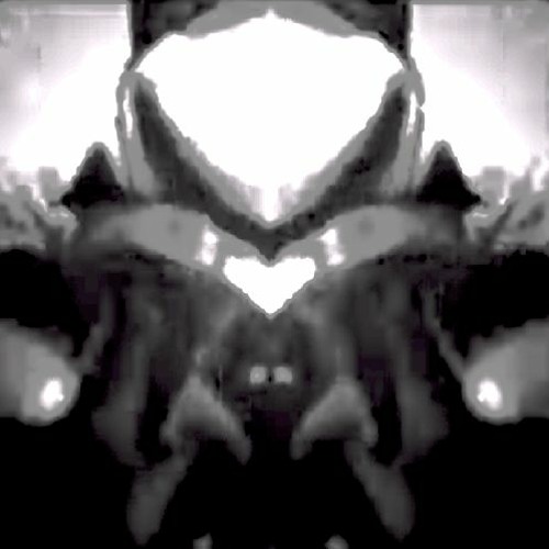 morphogenetic conditioning