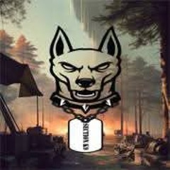 Section-K9 - Time Traveller