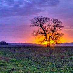 Elegy For a Lost Season
