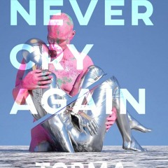 Never Cry Again - Dash Berlin ( Torma Deep Tech Mix )