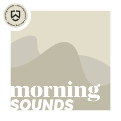 WEDELHÜTTE MORNINGSOUNDS