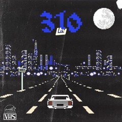 LHY - 310