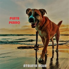 Playa Perro