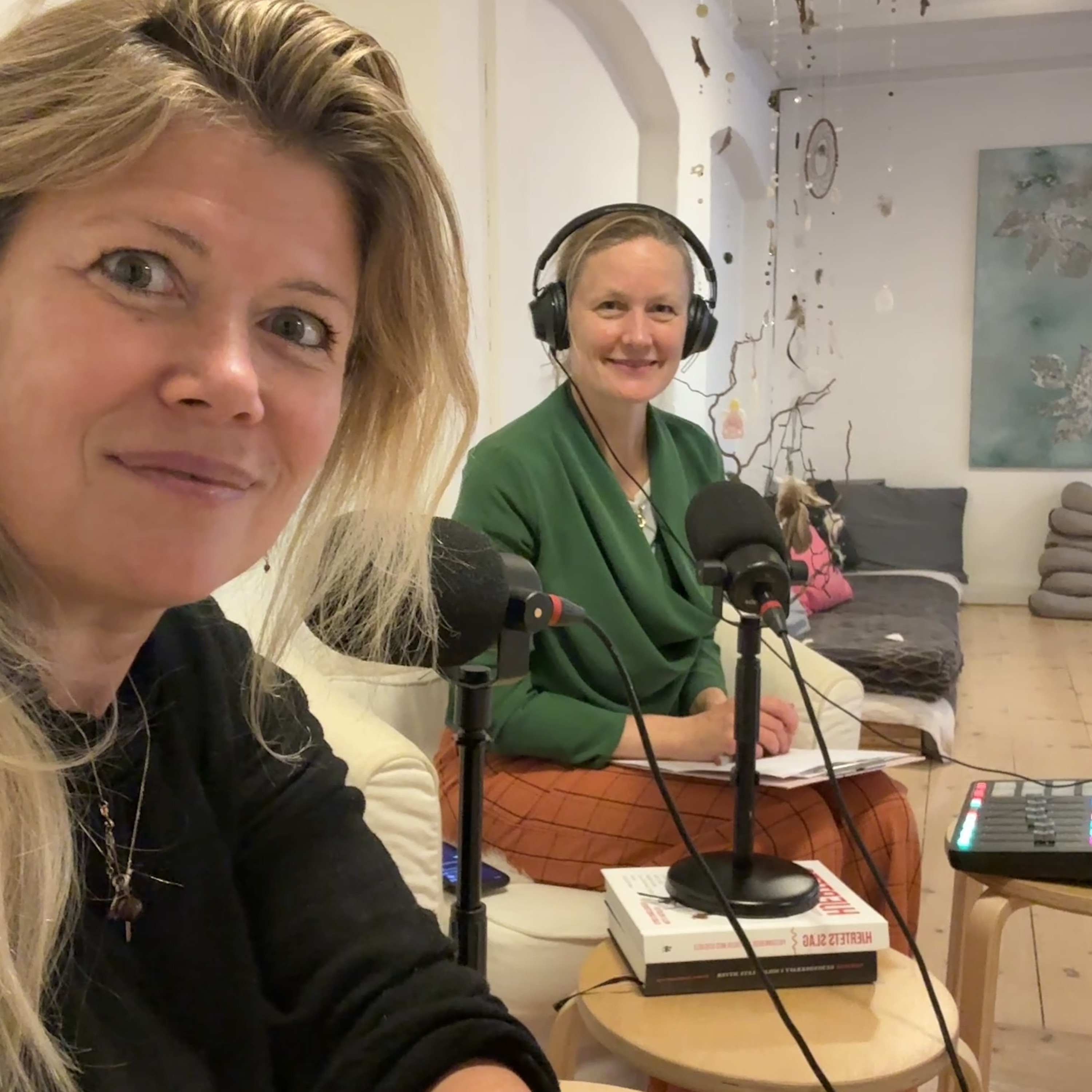 Interview om facilitering episode artwork