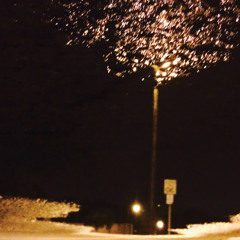 Zook - Conversations