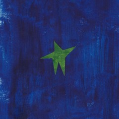 Flycatcher - Brother