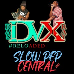 She Likes It - DVX Reloaded