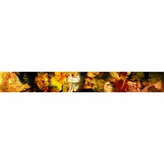 Dantes Inferno ( 9 Circle Clips)