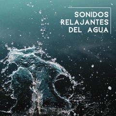 Sonido de las olas del mar