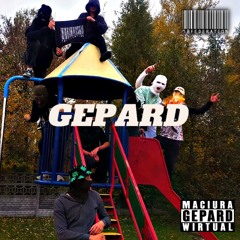 Maciura x Wirtual - Gepard