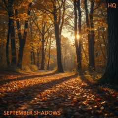 September Shadows - Golden Beats LP