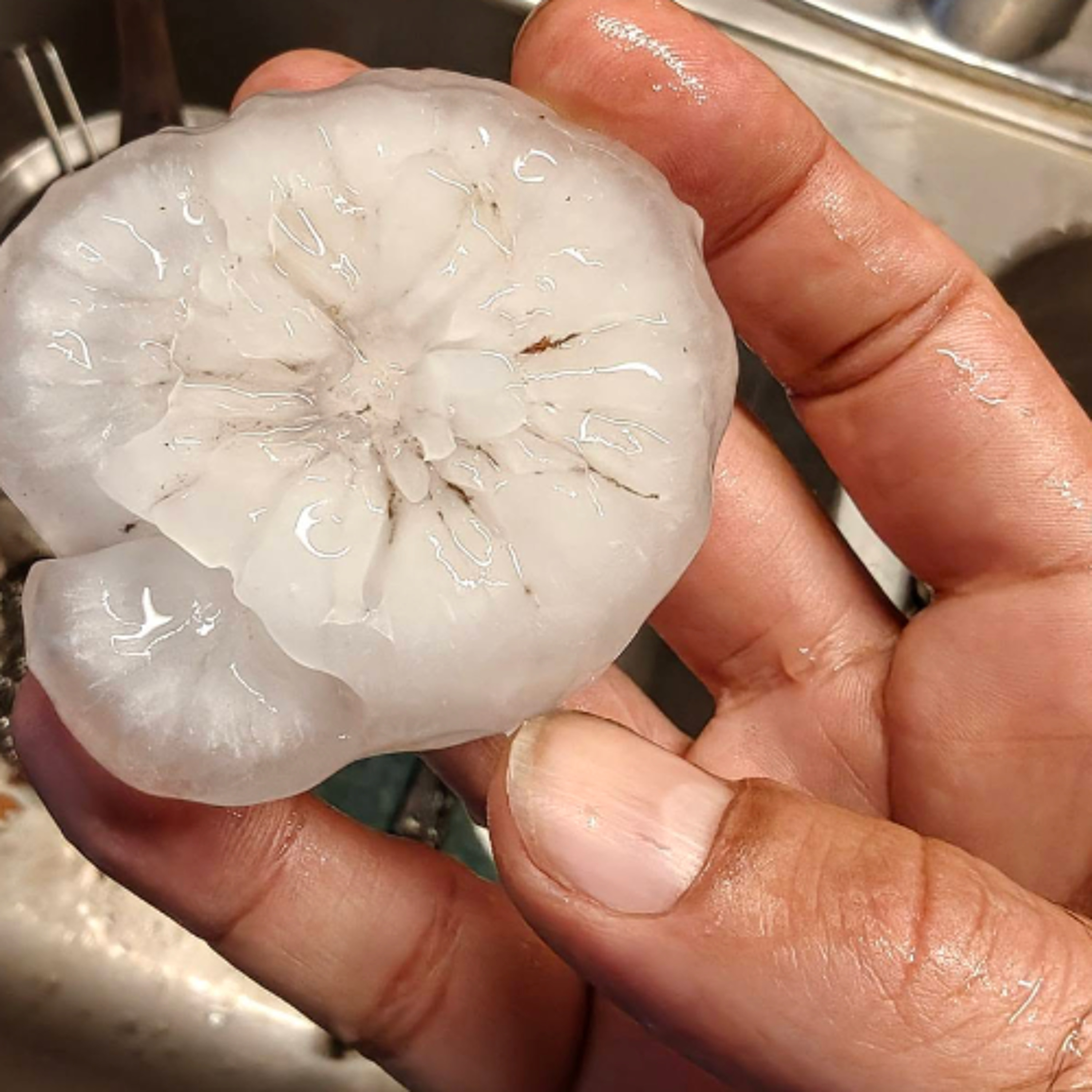 Andy Moore Project Hail Mary