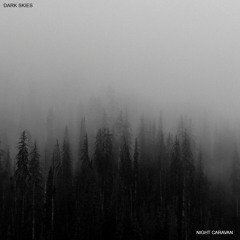 Dark Skies