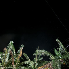 JUST SAY YOU LOVE ME - N E P A T A P A T