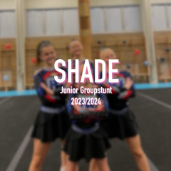 SHADE 23/24