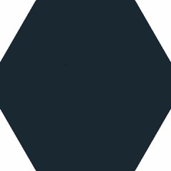 demo 1
