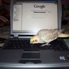 twikipedia - feel the same