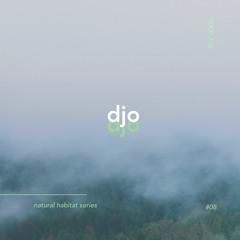 misty meadows ◦ djo