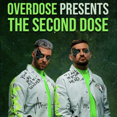 Rebelion & Vertile - The Real simulation (second dose)