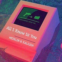 All I Know is You - MEIRLIN x KALIGEM
