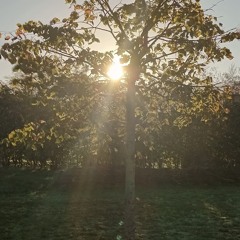 I KNOW WHAT I SAW,Lanterns of the Lake,A Club Mouse(unofficial)  remix_1.m4a