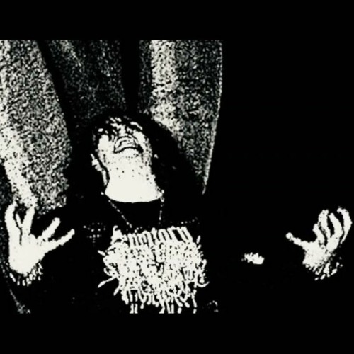 @pluggstar - почему