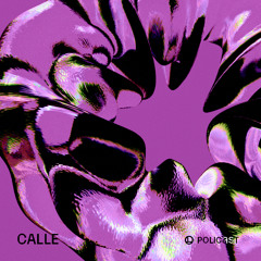 POLICAST 013 - CALLE
