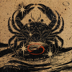 6 - Ascetic Sleep Song No 4