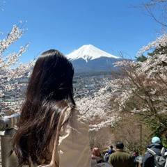 MT. FUJI (ft. Domagoat) prod. interstellarlove3