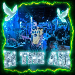 Marcy Mane - In the Air