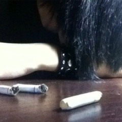 sleepless (teeth)