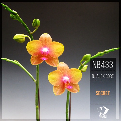 Shadows (Original Mix)