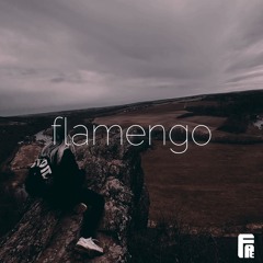 aster - flamengo