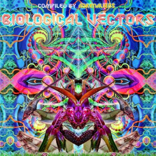 Morriggan - Confusion Of Percussion