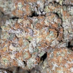 Walking on a cloud .mp3