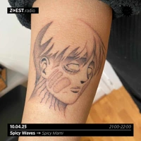 Soundcloud podcast image for Spicy waves - Spicy mami 