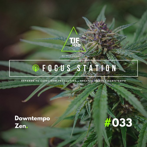 Downtempo Zen #033 - Melodies for the Mind | 🛋️ Deep Focus dj mix session 慢摇