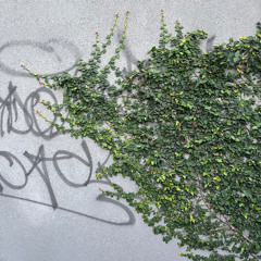 soulful/deep house mix.wav