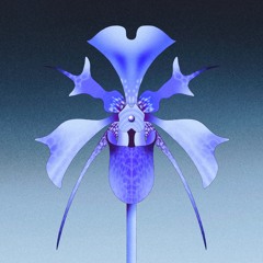 D.Dan - Embers (PUP004)