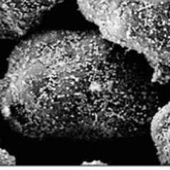 Between The Corotron And Spinning Mirrors