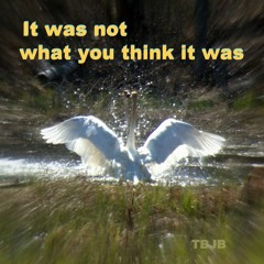 It Was Not What You Think It Was