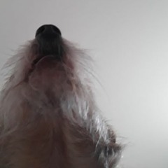 Okoze - Color Coded （VIP REMIX）