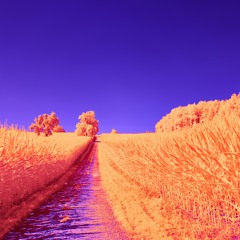 Breathe a little deeper