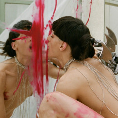 arca ft. shygirl- im a dog