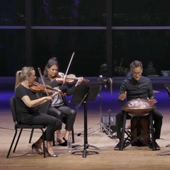 Unwind for String Quartet and Hand Pan