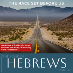 Voice Note for 20241128 - Hebrews - Part 12 - The Race Set Before Us_Personal Testimony included