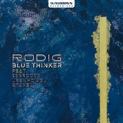 MOTZ Premiere: RØDIG - Solutionist [92Groovz]