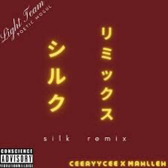 Silk (Remix) by CEE AYY CEE