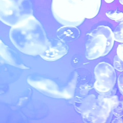 lightspeed (with dockai)