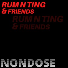 Rum N Ting N Friends Vol. 3 - Nondose